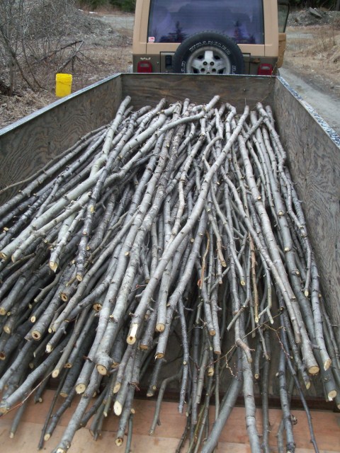 The material was tied into bundles when unloaded from the trailer.